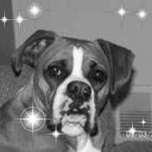 Meet your Posher, Gloria